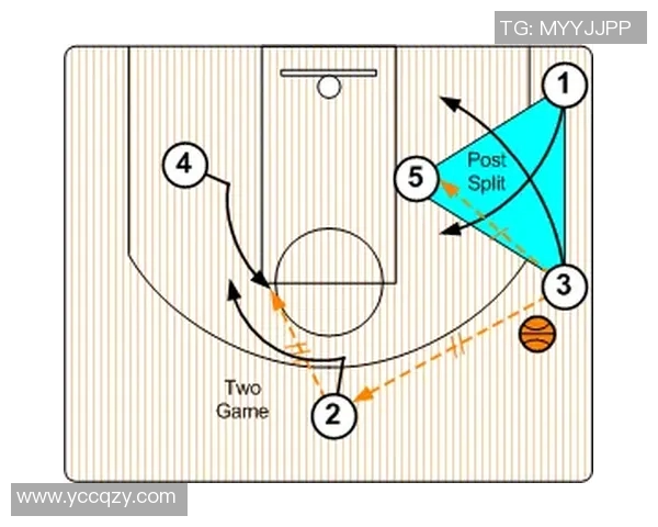 成都篮球队进攻战术解析与球员配合深度剖析