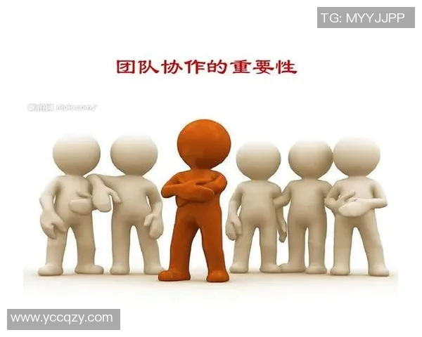 武汉网球队团队协作的创新变革与热议探讨 武汉网球队团队协作的创新变革与热议探讨