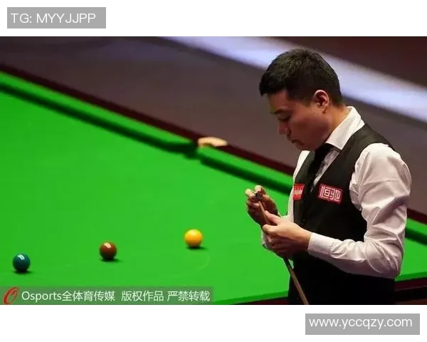 武汉排球队在大师赛中的耐力表现分析与启示