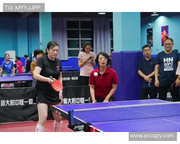 乒乓球专题：深入探讨上海乒乓球队如何实现高效团队协作与默契配合