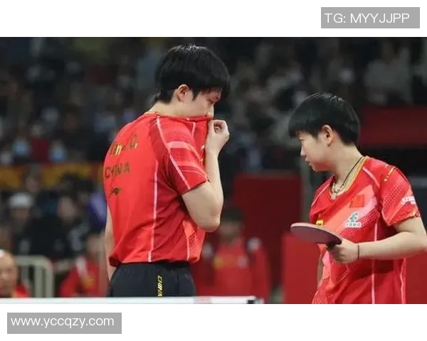 武汉乒乓球队荣登乒乓球节奏排行榜第五名引发关注与热议