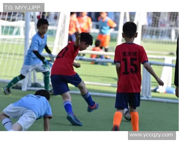 被忽视的绿茵英雄:那些最被低估的足球明星们的故事与成就 被忽视的绿茵英雄:那些最被低估的足球明星们的故事与成就