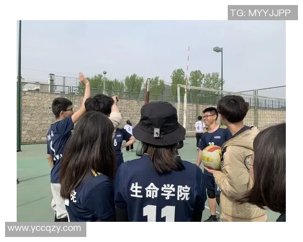 排球深度解析西安排球队反击战术与策略的全面剖析 排球深度解析西安排球队反击战术与策略的全面剖析