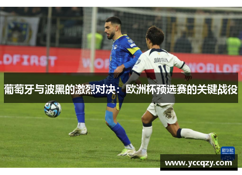 葡萄牙与波黑的激烈对决：欧洲杯预选赛的关键战役