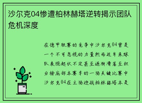沙尔克04惨遭柏林赫塔逆转揭示团队危机深度